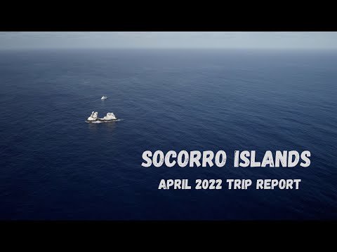 Diving Socorro on the Nautilus Explorer in 2022 (4K)