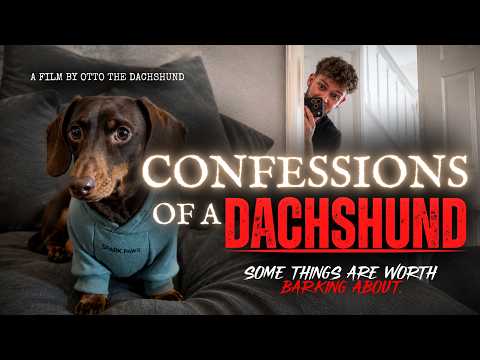 The Terrible Life of the Modern Dachshund
