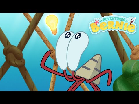 NEW The Adventures of Bernie ⚠️ BERNIE NEEDS HELP 💡 Zig & Sharko - Cartoons for Kids