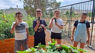 "Greening": Zyperns Kinder begrünen selbst ihre Welt