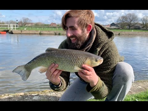 Chasing Chub and Catching BIG Surprises