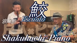 Download lagu Escualo/Astor Piazzolla エスクアロ(鮫)/アストル・ピアソラ 作曲 尺八とピアノのユニット”うみがめ” 尺八:渡辺淳 ピアノ:金益研二 mp3 Download lagu Escualo/Astor Piazzolla エスクアロ(鮫)/アストル・ピアソラ 作曲 尺八とピアノのユニット”うみがめ” 尺八:渡辺淳 ピアノ:金益研二 mp3