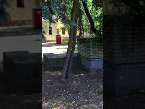 Таборфальва венгрия Таборфальва венгрия