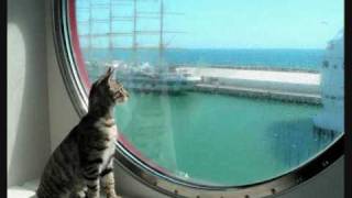 brothers--treat me gently