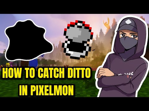 How to catch Ditto in Pixelmon - Guide