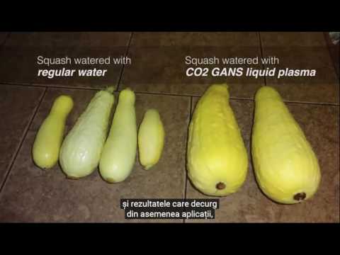 2017 04 05 PM Public Teaching in Romanian - Cursuri publice în română