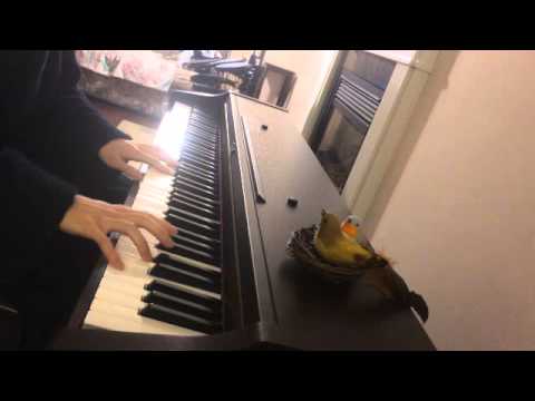 To the Moon Medley + A Bird Story