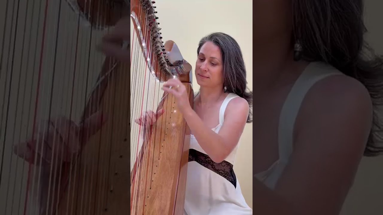 Promotional video thumbnail 4 for AureliHarp