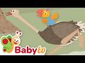 Can Tucky Run Like An Ostrich Animal Behavior For Toddlers BabyTV