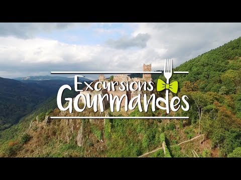 Excursions Gourmandes – Alsace : Les spätzles