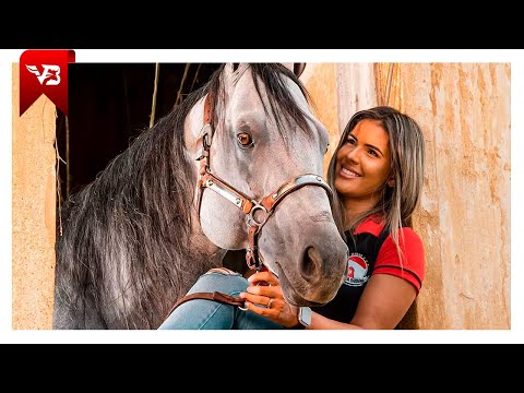 Como Um Vaqueiro Ama - Iguinho e Lulinha (Clipe Vaquejada) VB Oficial