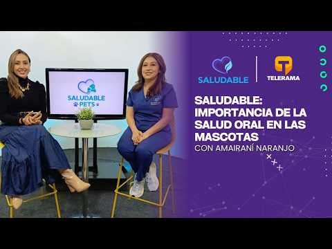 Saludable: Importancia de la salud oral en las mascotas