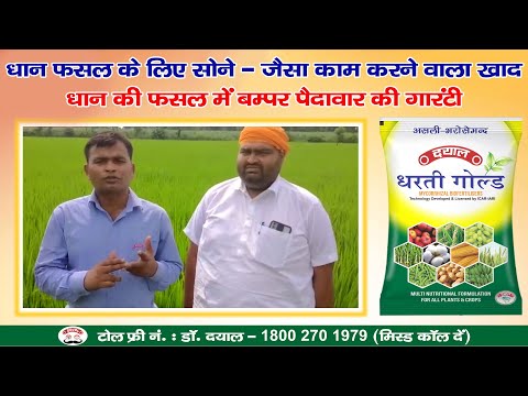 Dayal Dharti Gold Mycorrhizal Bio Fertilizer