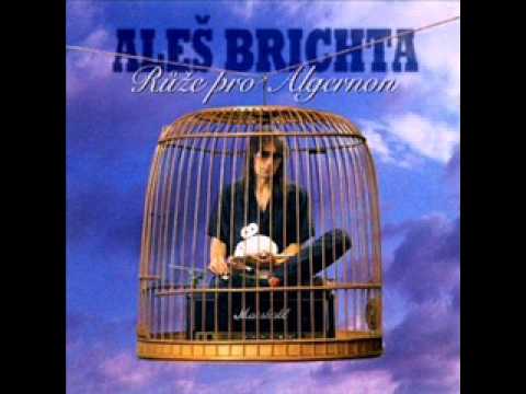 Aleš Brichta - Nejsem ten, o kom se ti zdá