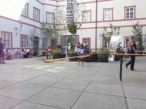 Tullnberg Dirndl instrumental guitar ziach