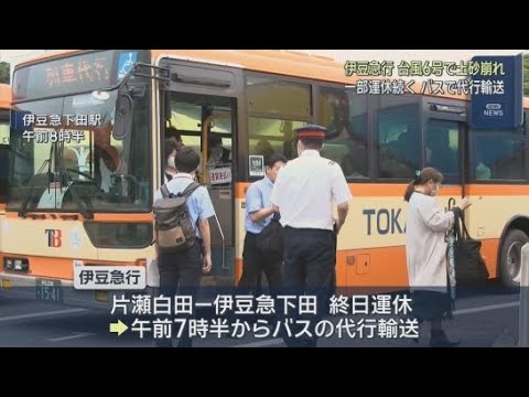 YouTube Video 伊豆急行は一部区間で終日運転を取りやめ　バスの代行輸送が始まる　台風６号の影響で土砂が線路に流れ込む