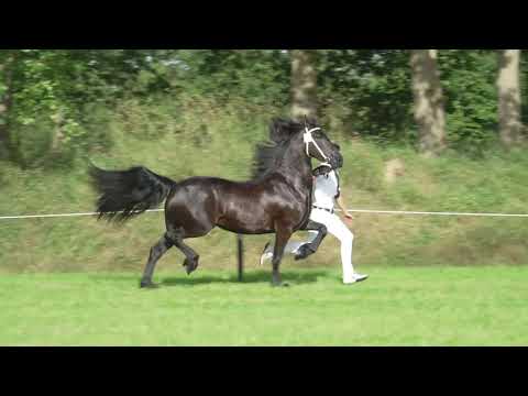 Fokdag Ta it Bihâld &#8211; 17-7-2021