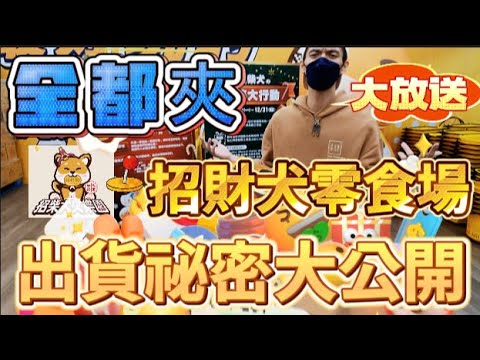 招財犬
