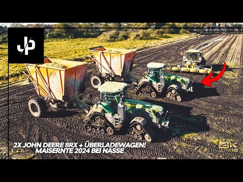 Extreme corn harvest 2024! Specialized technology in Northern Germany! || JP Agrar