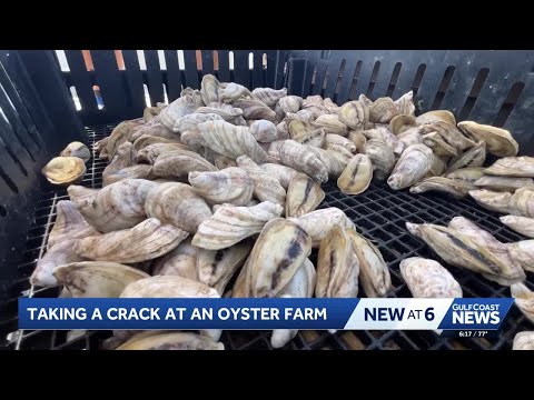 Florida Trend Video Pick - Video