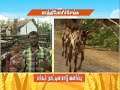 Pon Vilaiyum Bhoomi 25 06 2020 Successful Farmer Story