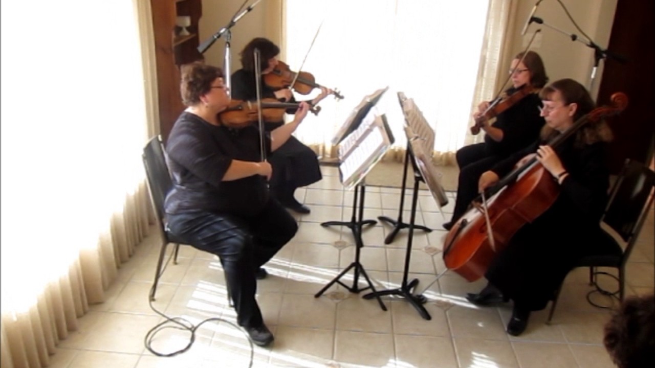 Promotional video thumbnail 2 for Rondo String Quartet