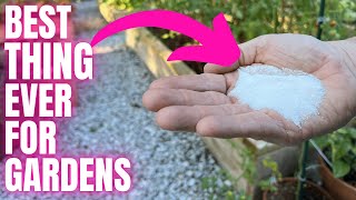 I Was Amazed After Feeding With This! Sick And Weak Vegetables Revive To Massive Harvest!