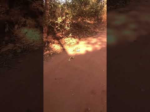 Parte 2 Pedra furada- Darcinopolis, TO