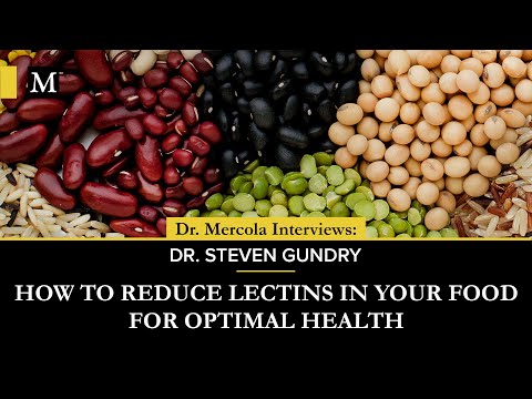 How to Reduce Lectins in Your Food for Optimal Health – Interview With Dr. Steven Gundry