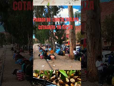 PARADA DE: LIMETA, TABLAYA COTAGAITA, EN TUPIZA #cotagaita  #tupiza