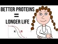 Better Proteins Fidelity The Key To Longevity