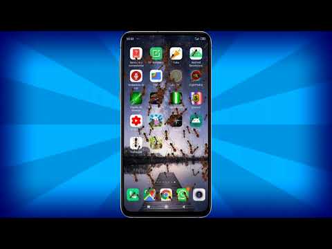 Ants on Screen (Prank) Video