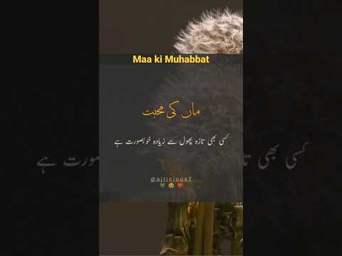 Maa ki Muhabbat || Maa Quotes in Urdu || Mothers Day #shorts #maa #shayari #mothersday | AJ Licious