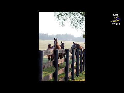 Programa: Caminho da Roça - 12/02/26 - Parte 1 - Apresentação: Paulinho