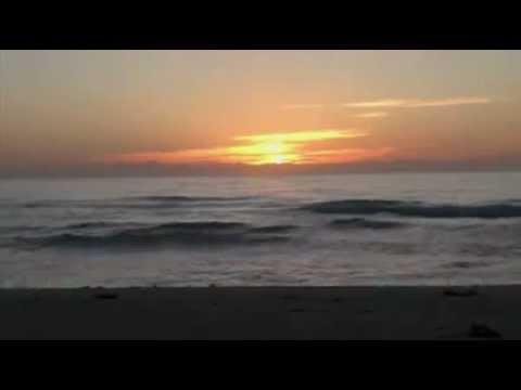 angiebaker766’s Video 33474076162 t8-8Fq80M9Q