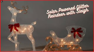 Solar Powered Glitter Reindeer with Sleigh Showcase