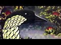 A Rare PBS Kids Ident Earth Day Special