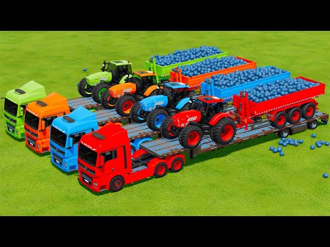 LOAD AND TRANSPORT BLUEBARRYS WITH LAMBORGHINI TRACTORS -   Farming Simulator 22