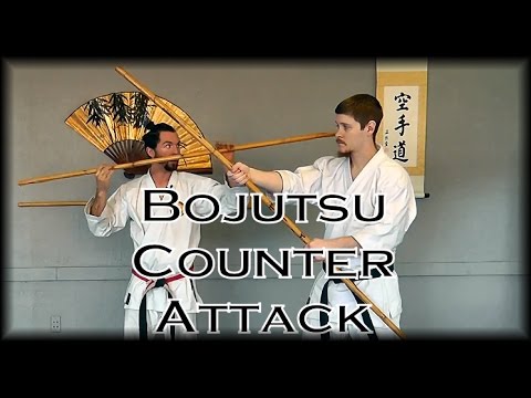 Waza Wednesday 3/8/17 - Bojutsu/Jojutsu Counter Attack