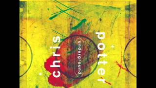 Chris Potter - Facing East