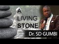 Dr. SD Gumbi preaching A LIVING STONE (In Zulu){Full Sermon}