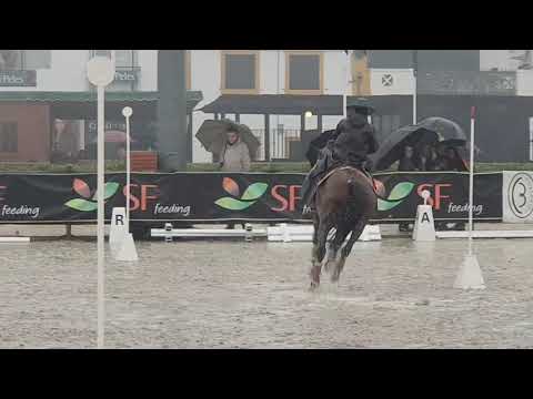Nicola Silva on HABIL DE SENA Speed Test Final Portuguese National Working Equitation Championship 2