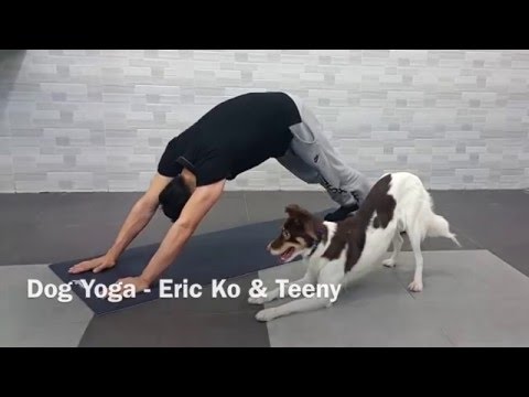 Dog Yoga with Teeny and Eric Ko thumnail
