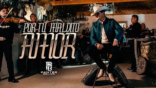 Por Tu Maldito Amor Lyrics English Translation