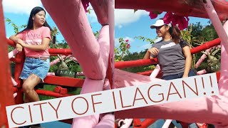 preview picture of video 'VLOG 2//DEPARTMENT OF AGRICULTURE (ISABELA)'