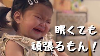 【4pマイナス症候群】ピナちゃん4歳。眠くても午前活動頑張るもん♡