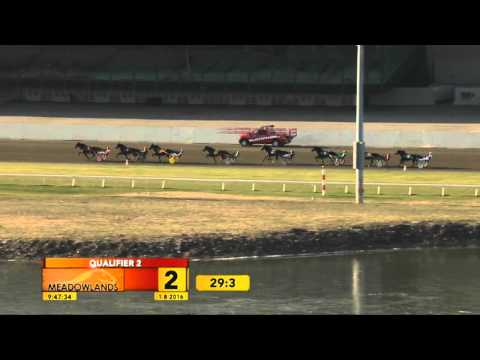Meadowlands Qualifier #2 - January 8, 2016 - Money On My Mind