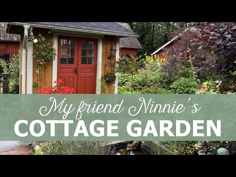 A Beautiful Swedish Cottage Garden – August, 2019 Video