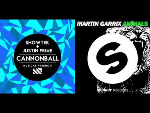 Cannonball Vs Animals | Martin Garrix & Showtek (Mashup)