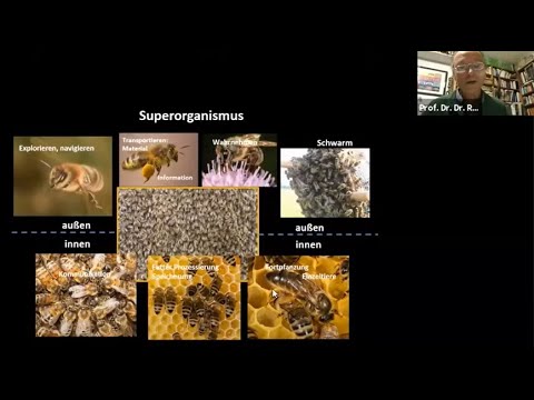 , title : 'Stunde der Insekten: Die Intelligenz der Bienen mit Prof. Dr. Dr. Randolf Menzel am 18.11.20'
